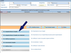 schermata fattura analitica per creazione cespiti